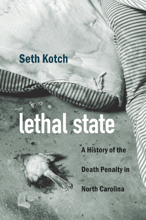 Cover image for book Lethal State