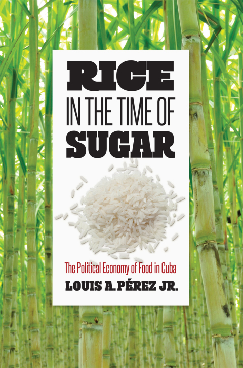 Cover image for book Rice in the Time of Sugar