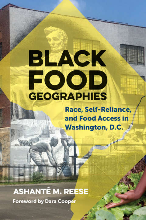 Cover image for book Black Food Geographies