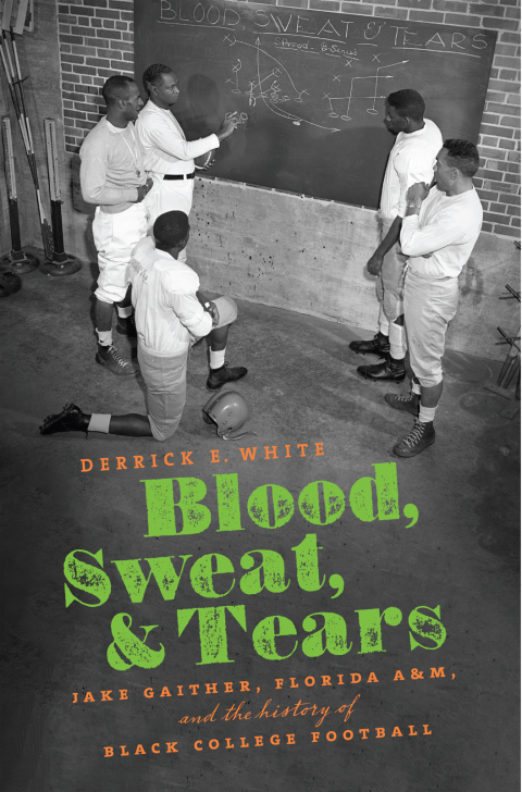 Cover image for book Blood, Sweat, and Tears