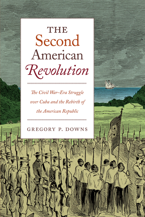 Cover image for book The Second American Revolution