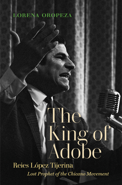 Cover image for book The King of Adobe