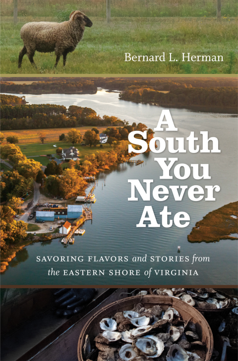 Cover image for book A South You Never Ate