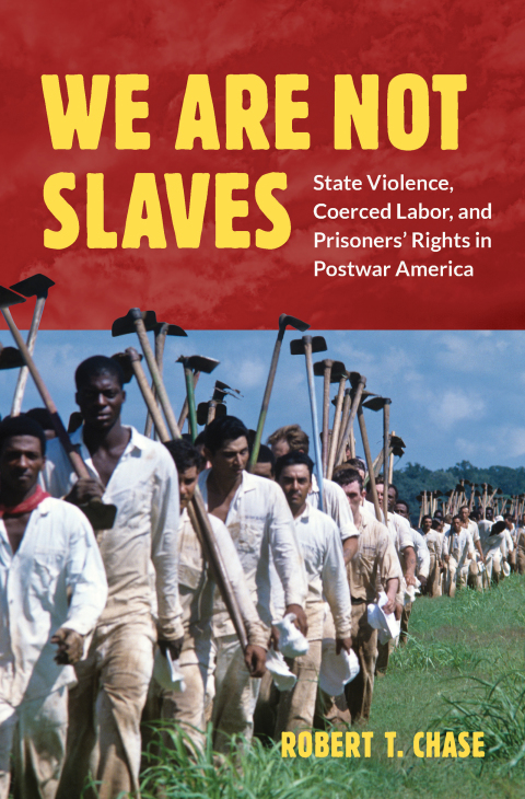 Cover image for book We Are Not Slaves