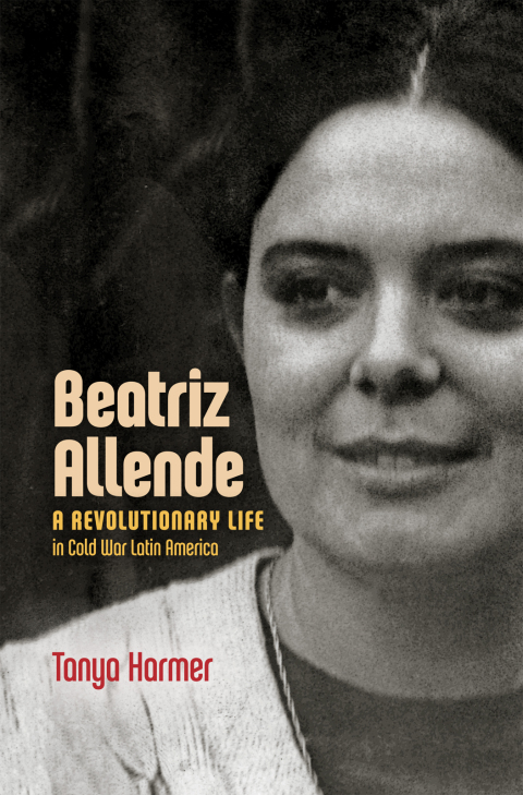 Cover image for book Beatriz Allende