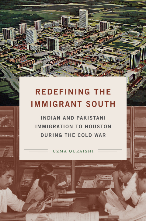 Cover image for book Redefining the Immigrant South