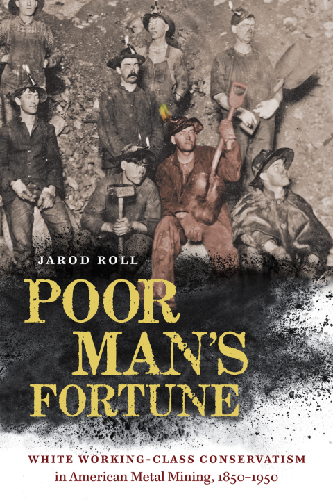 Cover image for book Poor Man's Fortune