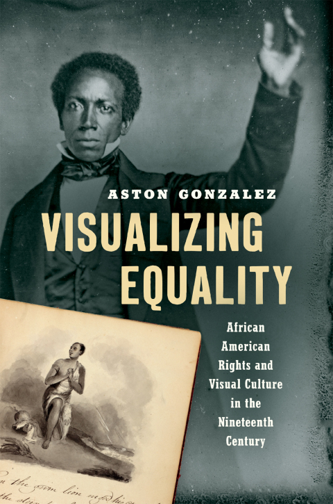 Cover image for book Visualizing Equality