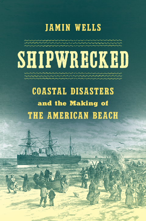 Cover image for book Shipwrecked