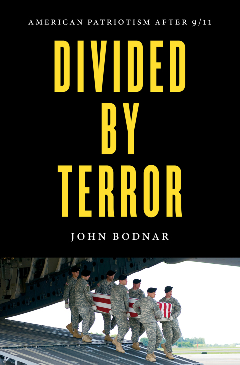 Cover image for book Divided by Terror