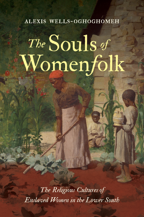 Cover image for book The Souls of Womenfolk