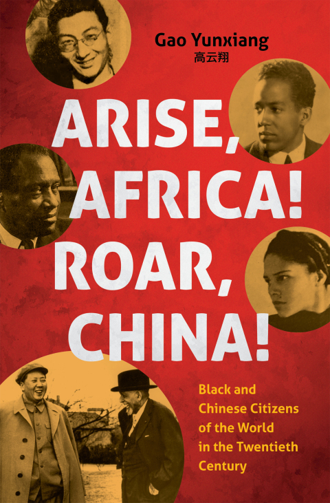 Cover image for book Arise Africa, Roar China
