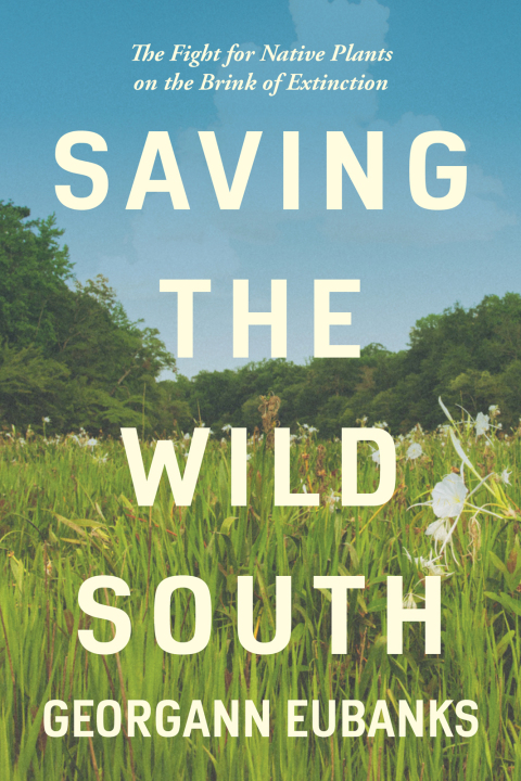 Cover image for book Saving the Wild South