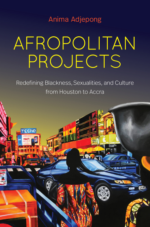 Cover image for book Afropolitan Projects