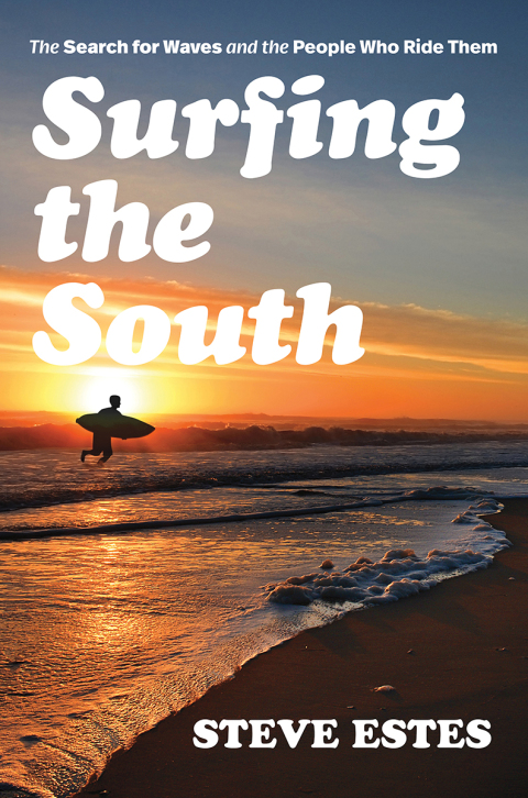 Cover image for book Surfing the South