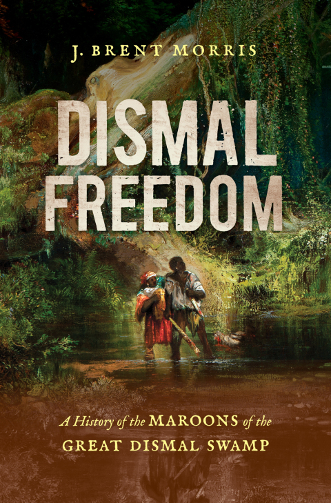 Cover image for book Dismal Freedom