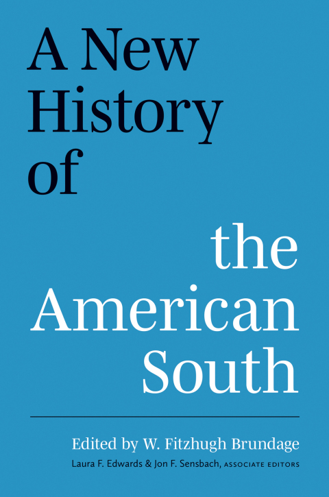 Cover image for book A New History of the American South
