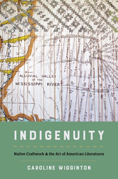 Cover image for book Indigenuity