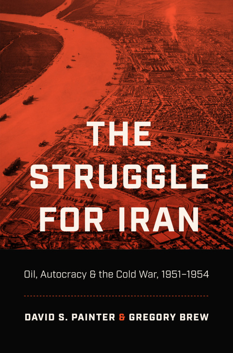 Cover image for book The Struggle for Iran