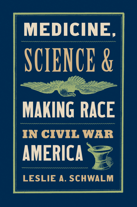 Cover image for book Medicine, Science, and Making Race in Civil War America