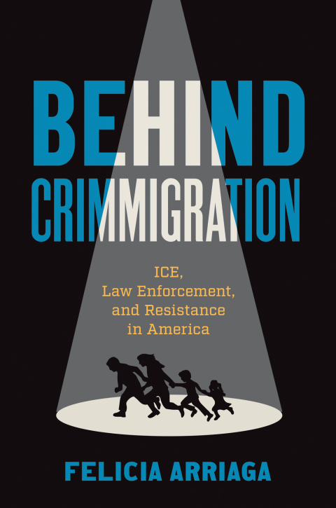 Cover image for book Behind Crimmigration