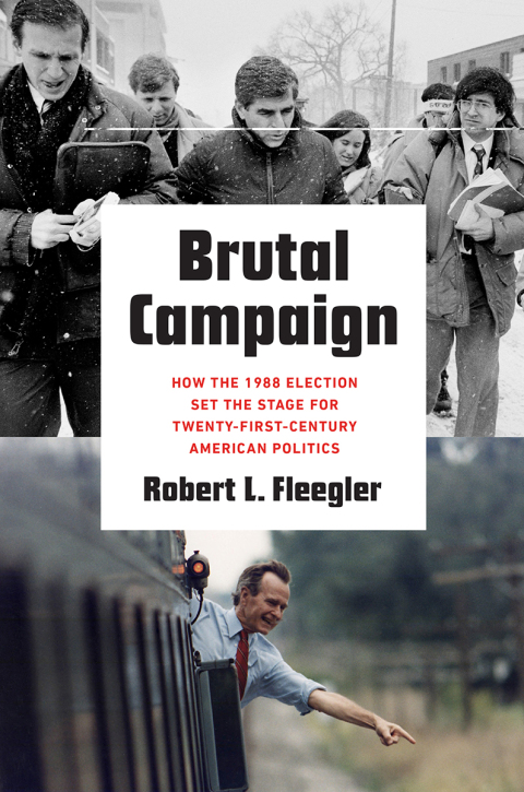 Cover image for book Brutal Campaign