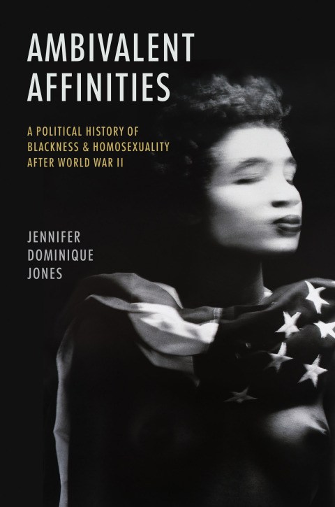 Cover image for book Ambivalent Affinities