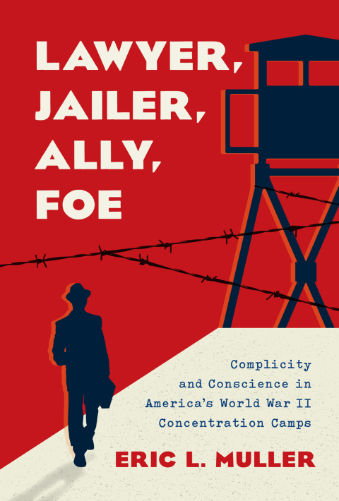 Cover image for book Lawyer, Jailer, Ally, Foe