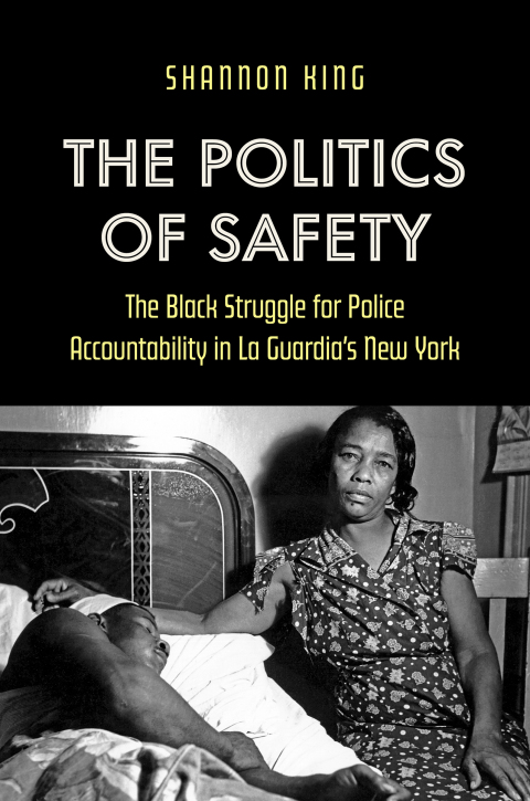 Cover image for book The Politics of Safety