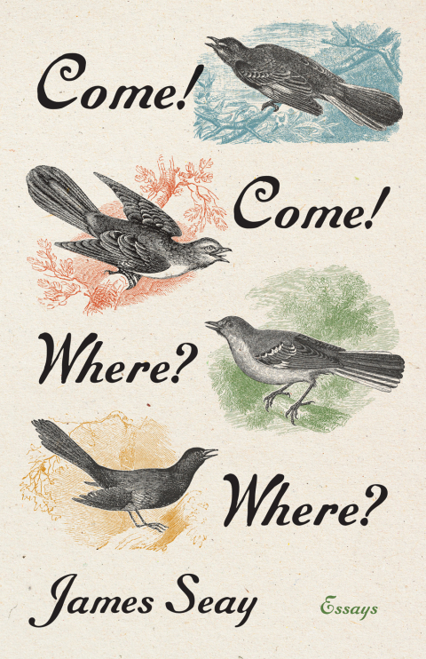 Cover image for book Come! Come! Where? Where?