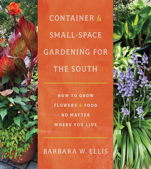 Cover image for book Container and Small-Space Gardening for the South