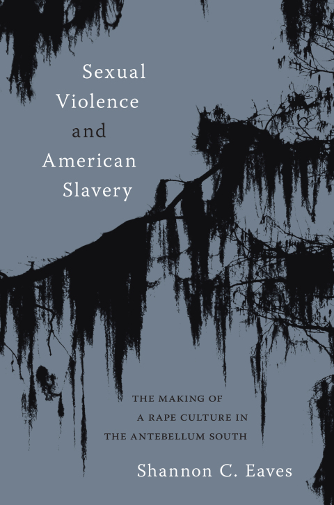 Cover image for book Sexual Violence and American Slavery