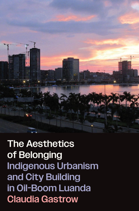 Cover image for book The Aesthetics of Belonging
