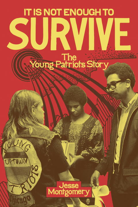 Cover image for book It Is Not Enough to Survive