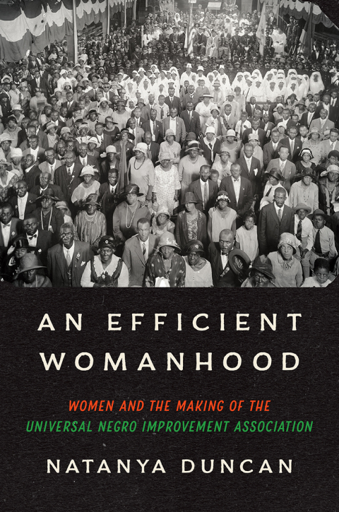 Cover image for book An Efficient Womanhood
