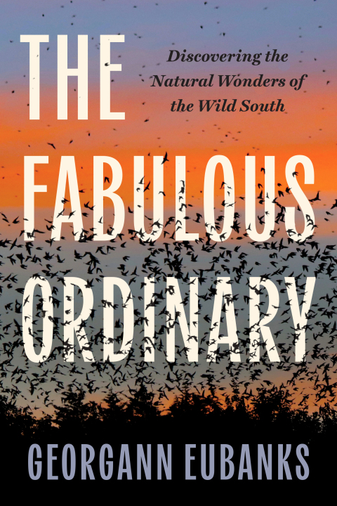 Cover image for book The Fabulous Ordinary