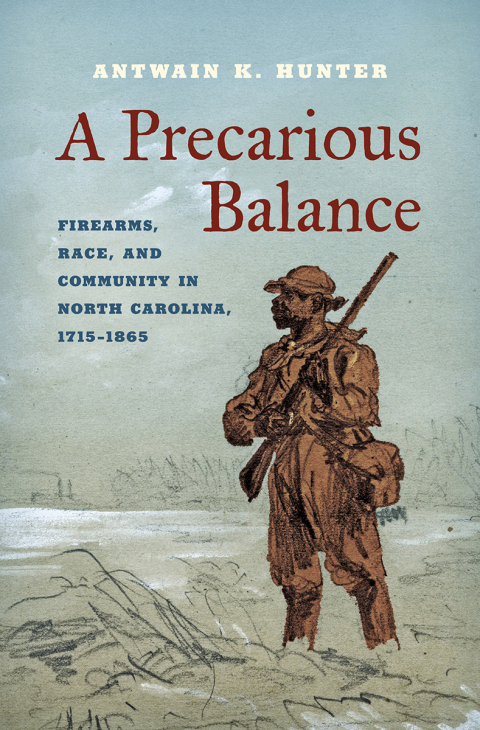 Cover image for book A Precarious Balance