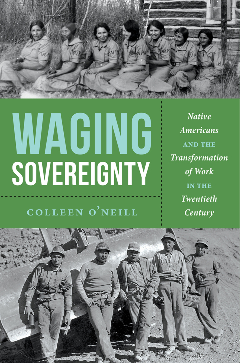 Cover image for book Waging Sovereignty