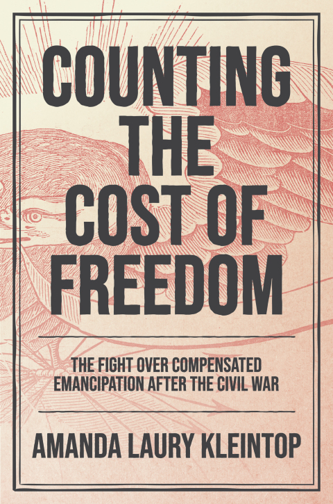 Cover image for book Counting the Cost of Freedom