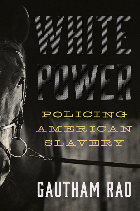Cover image for book White Power