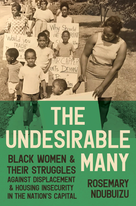 Cover image for book The Undesirable Many