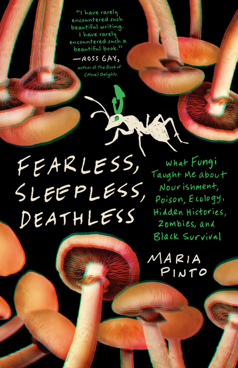 Cover image for book Fearless, Sleepless, Deathless