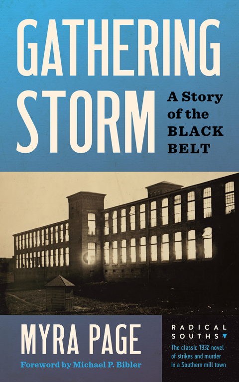 Cover image for book Gathering Storm