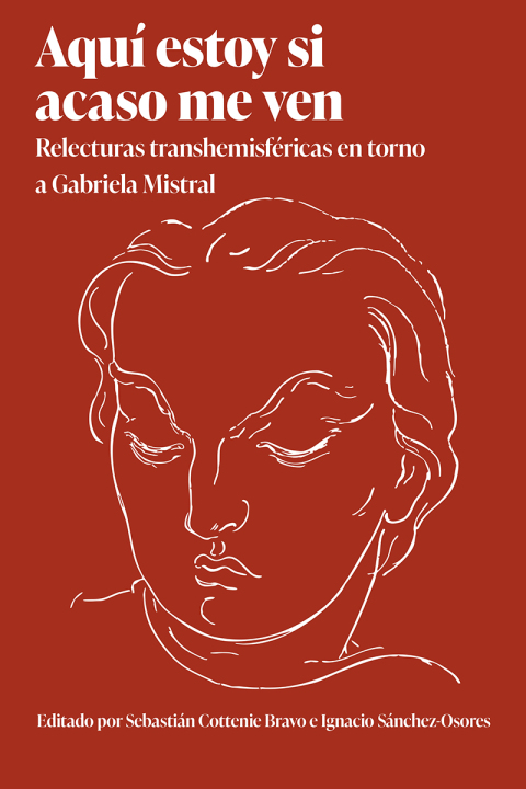Cover image for book Aquí estoy si acaso me ven