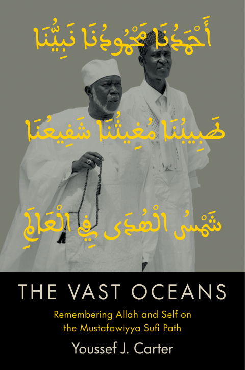 Cover image for book The Vast Oceans
