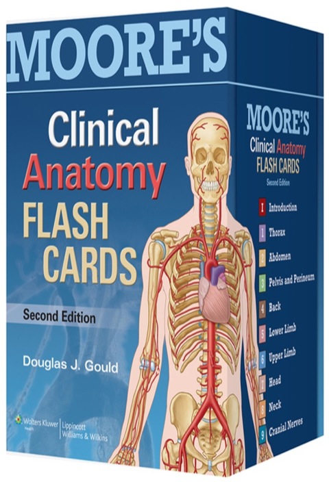 Cover image for book Moore's Clinical Anatomy Flash Cards
