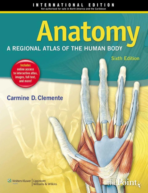 Cover image for book Anatomy: A Regional Atlas of the Human Body