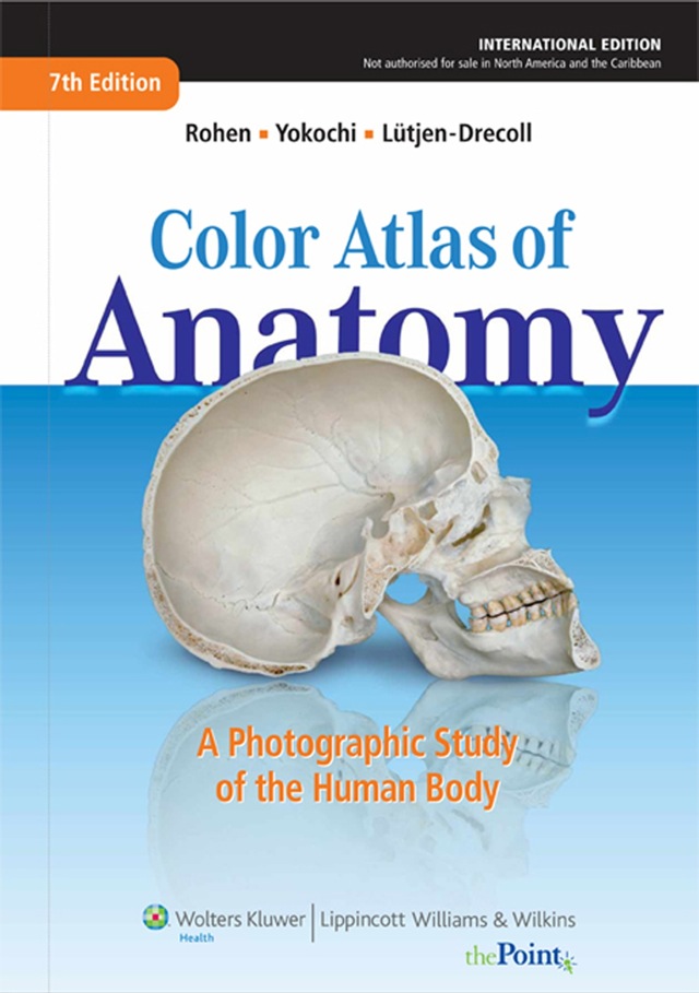 Color Atlas of Anatomy a Photographic Study of the Human Body