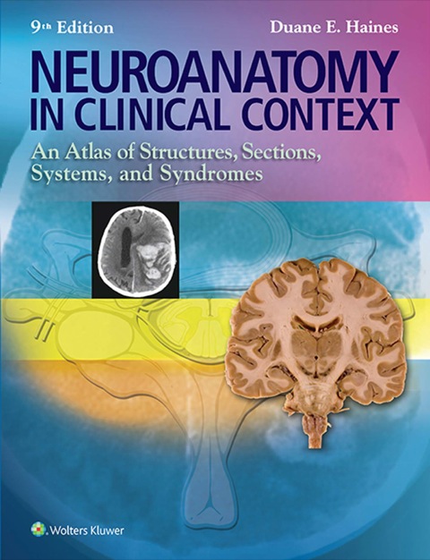 Cover image for book Neuroanatomy in Clinical Context: An Atlas of Structures, Sections, Systems, and Syndromes