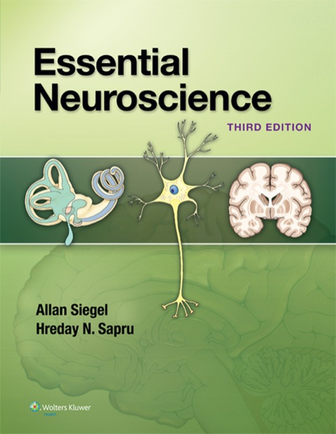 Cover image for book Essential Neuroscience
